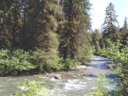 Lakefront Property for sale in Madison County, Montana