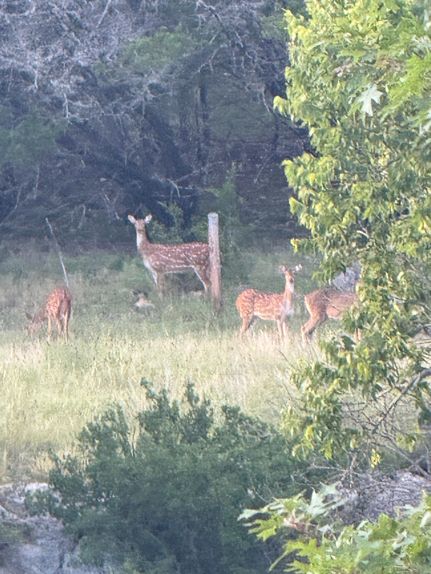 Farm and Ranch for sale in Edwards County, Texas