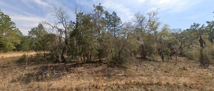 Recreational Property for sale in Putnam County, Florida