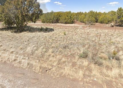 Timberland Property for sale in Apache County, Arizona