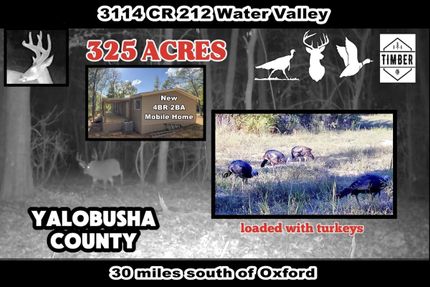 Undeveloped Land for sale in Yalobusha County, Mississippi
