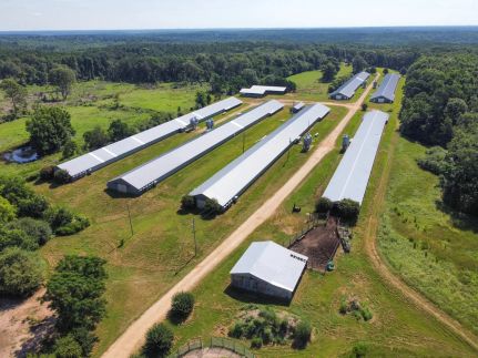 Farm and Ranch for sale in Lincoln Parish, Louisiana