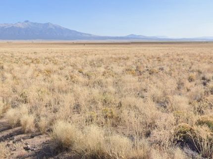 Undeveloped Land for sale in Costilla County, Colorado