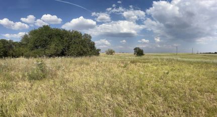 Recreational Property for sale in Jones County, Texas