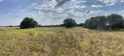 Undeveloped Land for sale in Jones County, Texas