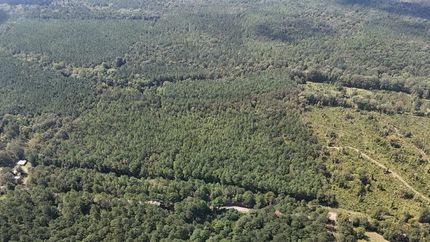 Hunting Property for sale in Calhoun County, Mississippi