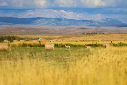 Farm and Ranch for sale in Sublette County, Wyoming