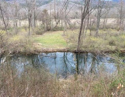 Hunting Property for sale in Hardy County, West Virginia