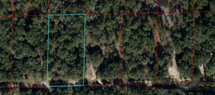 Timberland Property for sale in Levy County, Florida