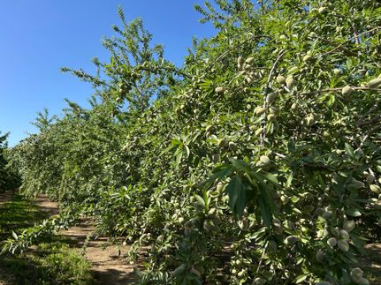 Farm and Ranch for sale in Colusa County, California