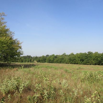 Land for sale in Choctaw County, Oklahoma