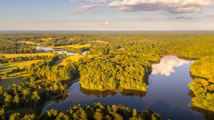 Farm and Ranch for sale in Wood County, Texas
