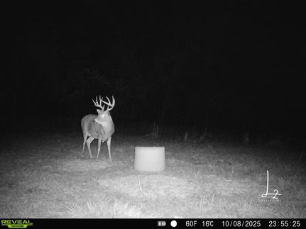 Undeveloped Land for sale in Osage County, Kansas