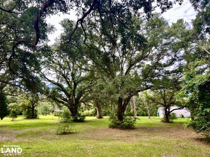 Farm and Ranch for sale in Washington County, Florida
