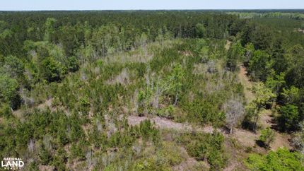 Farm and Ranch in Colleton County, South Carolina