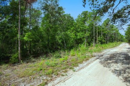 Undeveloped Land for sale in Putnam County, Florida