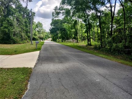 Undeveloped Land for sale in Levy County, Florida