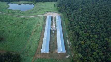 Farm and Ranch for sale in Polk County, Arkansas