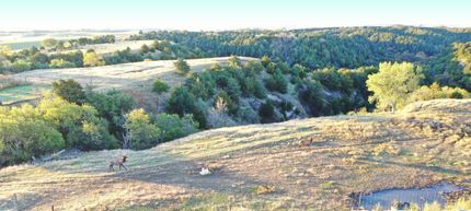 Timberland Property for sale in Custer County, Nebraska