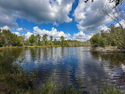 Recreational Property for sale in Burke County, Georgia