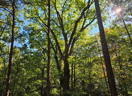 Recreational Property for sale in Calhoun County, Alabama