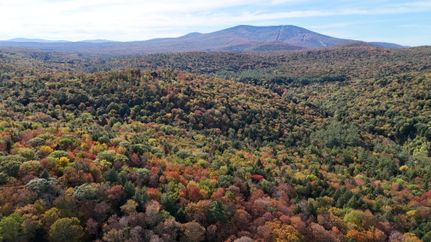 Timberland Property for sale in Windham County, Vermont