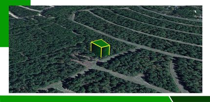 Timberland Property in Polk County, Texas