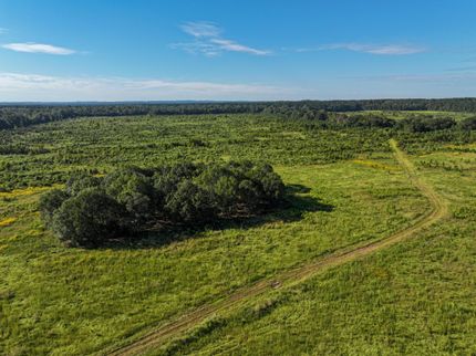 Undeveloped Land for sale in Angelina County, Texas