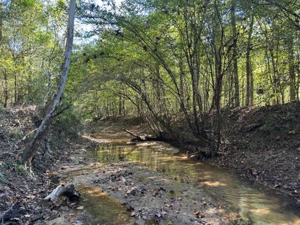 Recreational Property for sale in Clarke County, Alabama