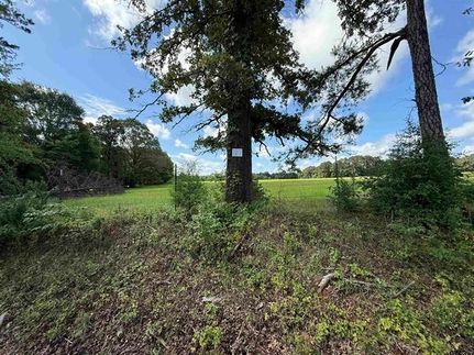 Undeveloped Land for sale in Rusk County, Texas