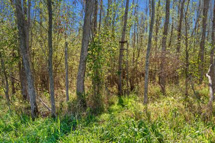 Undeveloped Land for sale in Buffalo County, Wisconsin