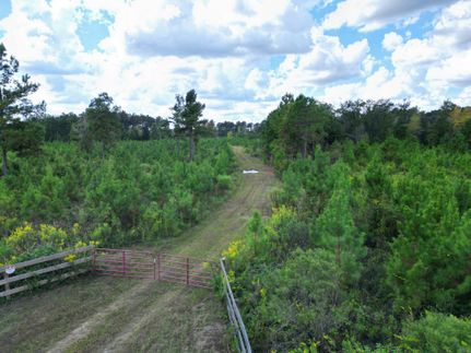 Hunting Property for sale in Jackson County, Florida