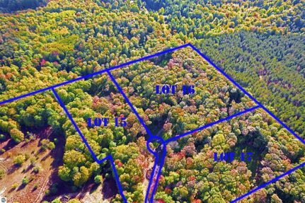 Undeveloped Land for sale in Kalkaska County, Michigan