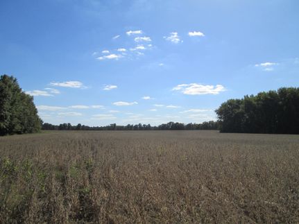 Farm and Ranch for sale in Vigo County, Indiana