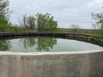 Farm and Ranch for sale in Terrell County, Texas