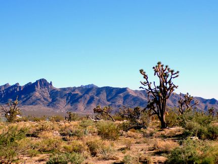 Recreational Property for sale in Mohave County, Arizona
