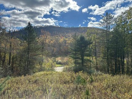 Farm and Ranch for sale in Potter County, Pennsylvania