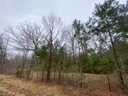 Undeveloped Land for sale in Harrison County, Texas