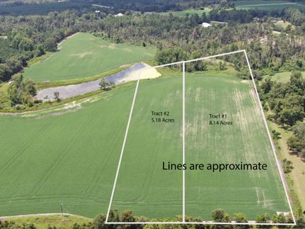 Land for sale in Coffee County, Georgia