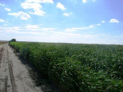 Farm and Ranch for sale in Gosper County, Nebraska