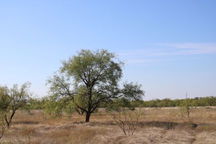Timberland Property for sale in Runnels County, Texas