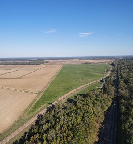 Timberland Property for sale in Yazoo County, Mississippi