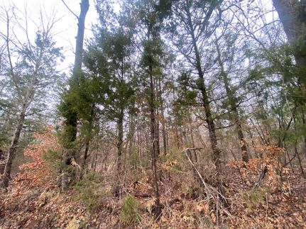 Recreational Property for sale in Harrison County, Texas