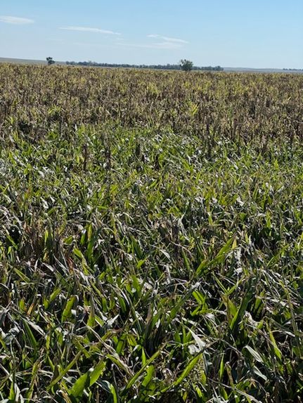 Land for sale in Bennett County, South Dakota