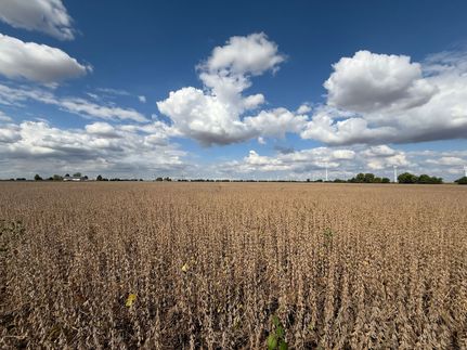 Farm and Ranch for sale in White County, Indiana