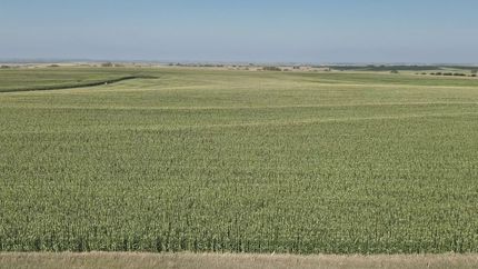 Farm and Ranch for sale in Jewell County, Kansas