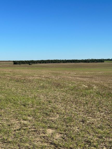 Land for sale in Ziebach County, South Dakota