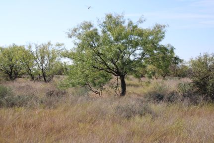 Recreational Property for sale in Runnels County, Texas