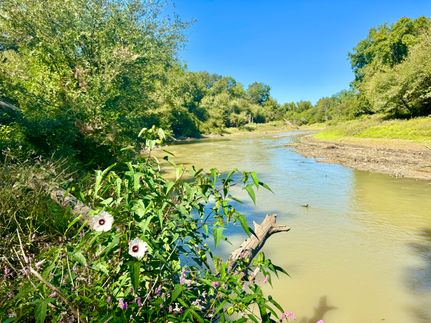 Undeveloped Land for sale in Sharkey County, Mississippi