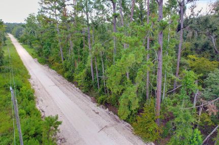 Undeveloped Land for sale in Suwannee County, Florida